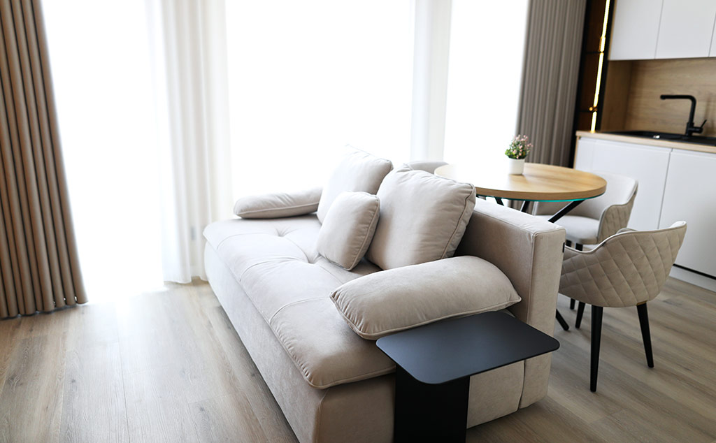 Lehmann Apartment 2 Zimmer ohne Balkon Wohnzimmer und Küchenzeile