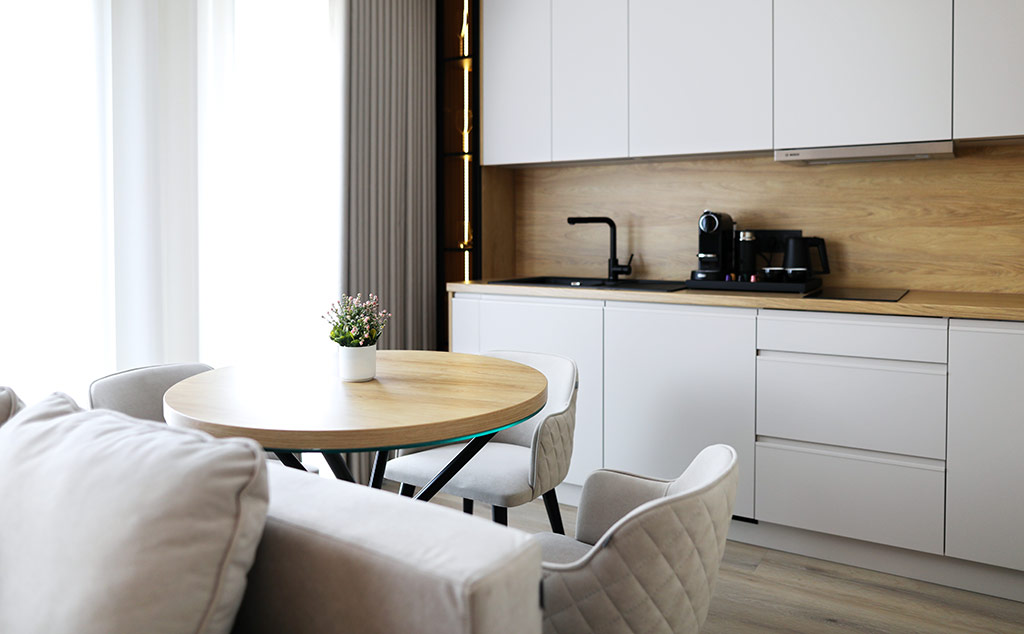 Lehmann Apartment 2 Zimmer ohne Balkon Wohnzimmer und Küchenzeile