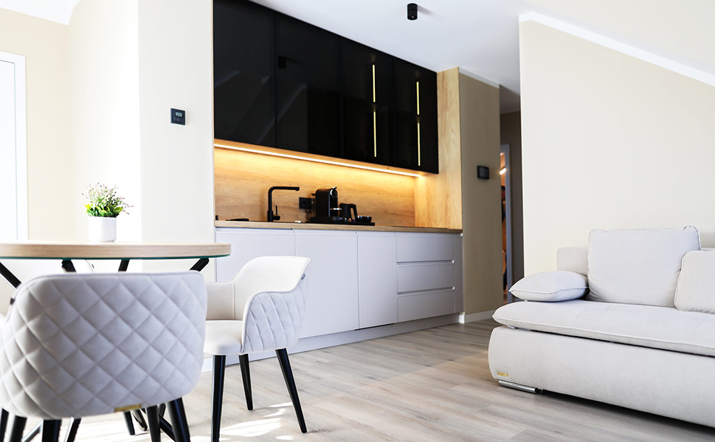 Lehmann Apartment 3 Zimmer mit Balkon Wohnzimmer mit Küchenzeile